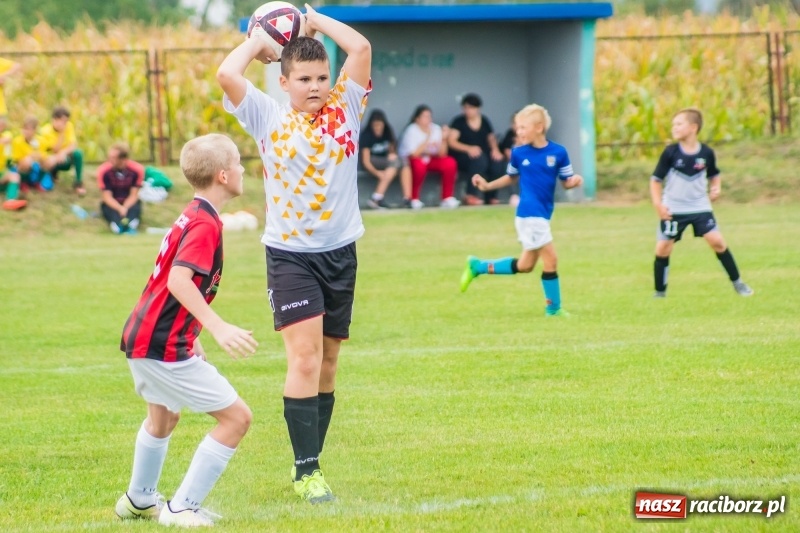 Zdjęcie w galerii na portalu naszraciborz.pl: Orliki z regionu rywalizowały w turnieju Zawada Kids Challenge wiadomości z regionu