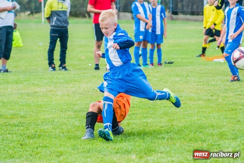 Zdjęcie w galerii na portalu naszraciborz.pl: Orliki z regionu rywalizowały w turnieju Zawada Kids Challenge wiadomości z regionu