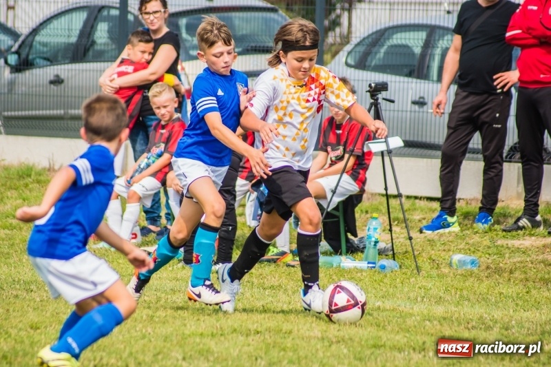 Zdjęcie w galerii na portalu naszraciborz.pl: Orliki z regionu rywalizowały w turnieju Zawada Kids Challenge wiadomości z regionu