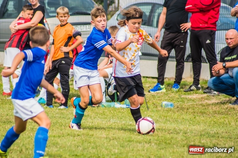 Zdjęcie w galerii na portalu naszraciborz.pl: Orliki z regionu rywalizowały w turnieju Zawada Kids Challenge wiadomości z regionu