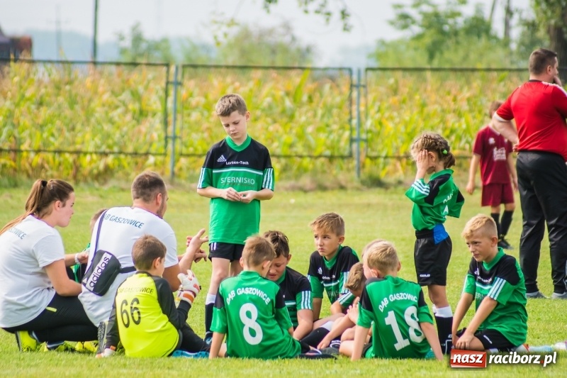 Zdjęcie w galerii na portalu naszraciborz.pl: Orliki z regionu rywalizowały w turnieju Zawada Kids Challenge wiadomości z regionu