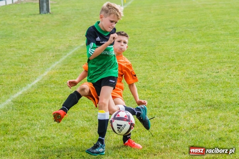 Zdjęcie w galerii na portalu naszraciborz.pl: Orliki z regionu rywalizowały w turnieju Zawada Kids Challenge wiadomości z regionu