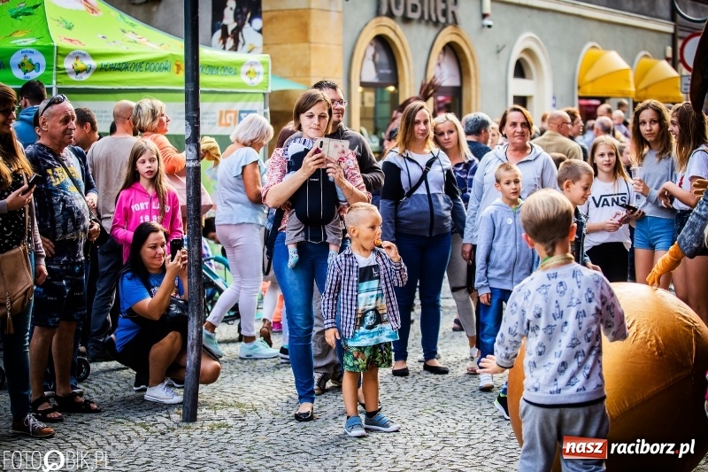 Zdjęcie w galerii na portalu naszraciborz.pl: Raciborskie imprezy kulturalne ze wsparciem marszałka  wiadomości z regionu