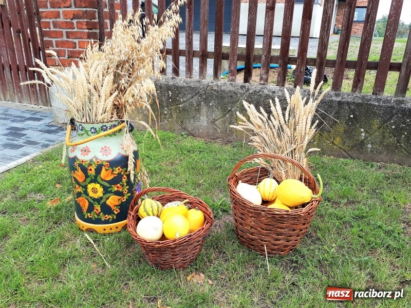 Zdjęcie w galerii na portalu naszraciborz.pl: Mieszkańcy Tworkowa dziękowali za plony FOTO i WIDEO wiadomości z regionu