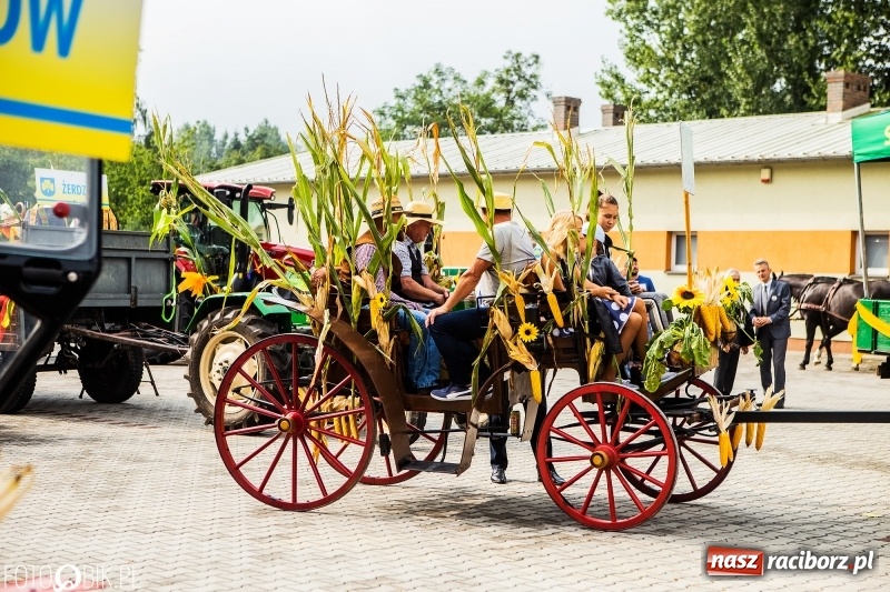 Zdjęcie w galerii na portalu naszraciborz.pl: Powiatowe dożynki w tym roku w Pietrowicach Wielkich  wiadomości z regionu
