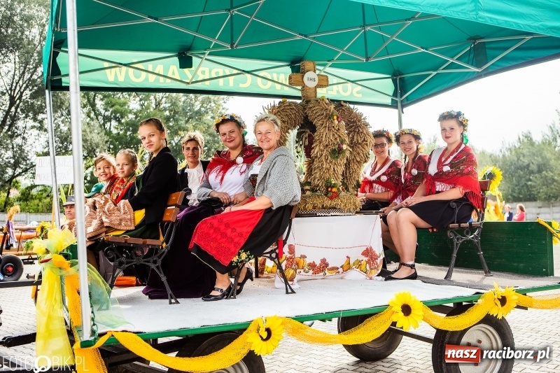 Zdjęcie w galerii na portalu naszraciborz.pl: Powiatowe dożynki w tym roku w Pietrowicach Wielkich  wiadomości z regionu