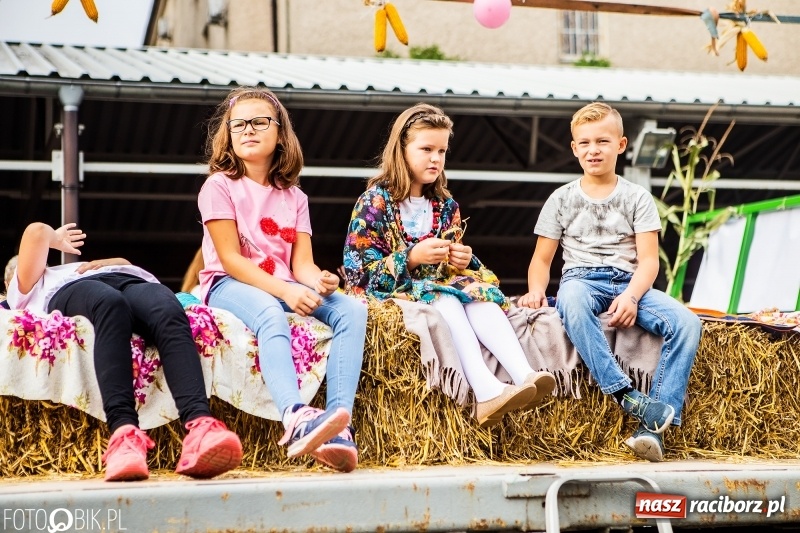 Zdjęcie w galerii na portalu naszraciborz.pl: Powiatowe dożynki w tym roku w Pietrowicach Wielkich  wiadomości z regionu