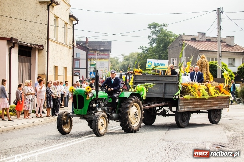 Zdjęcie w galerii na portalu naszraciborz.pl: Powiatowe dożynki w tym roku w Pietrowicach Wielkich  wiadomości z regionu