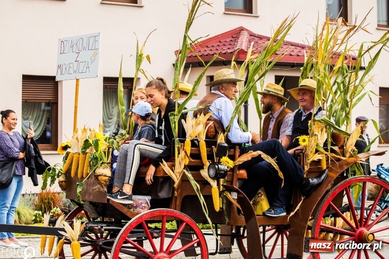 Zdjęcie w galerii na portalu naszraciborz.pl: Powiatowe dożynki w tym roku w Pietrowicach Wielkich  wiadomości z regionu