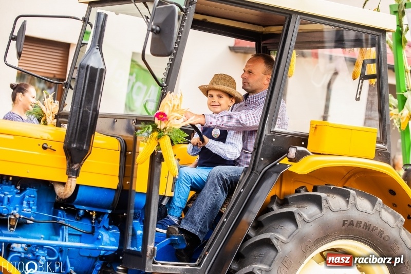 Zdjęcie w galerii na portalu naszraciborz.pl: Powiatowe dożynki w tym roku w Pietrowicach Wielkich  wiadomości z regionu