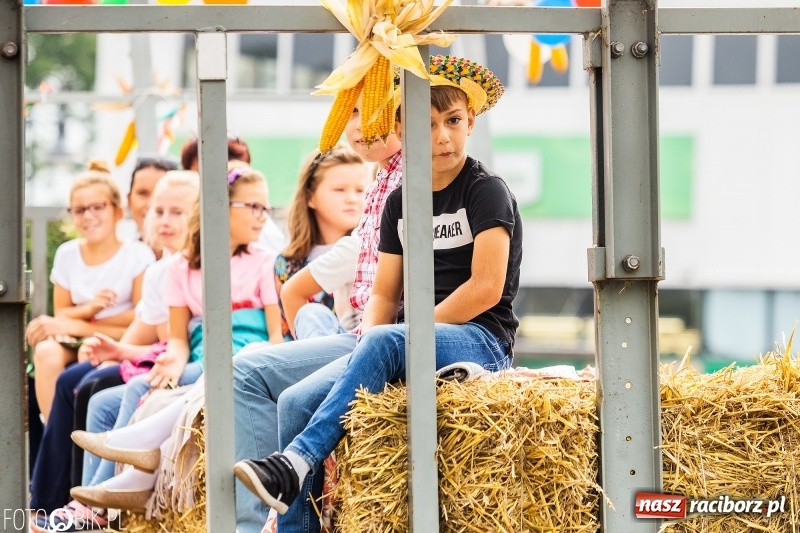 Zdjęcie w galerii na portalu naszraciborz.pl: Powiatowe dożynki w tym roku w Pietrowicach Wielkich  wiadomości z regionu
