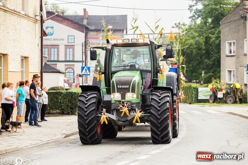 Zdjęcie w galerii na portalu naszraciborz.pl: Powiatowe dożynki w tym roku w Pietrowicach Wielkich  wiadomości z regionu