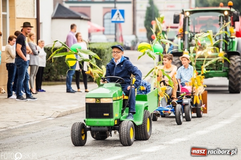 Zdjęcie w galerii na portalu naszraciborz.pl: Powiatowe dożynki w tym roku w Pietrowicach Wielkich  wiadomości z regionu