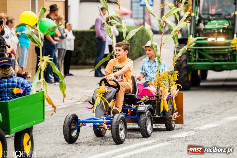 Zdjęcie w galerii na portalu naszraciborz.pl: Powiatowe dożynki w tym roku w Pietrowicach Wielkich  wiadomości z regionu