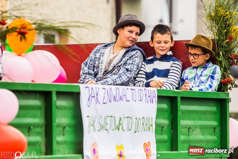 Zdjęcie w galerii na portalu naszraciborz.pl: Powiatowe dożynki w tym roku w Pietrowicach Wielkich  wiadomości z regionu