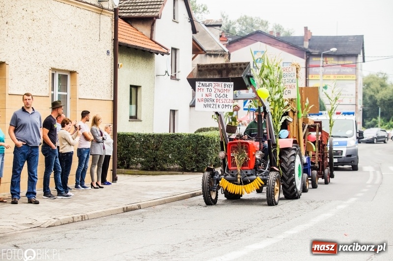 Zdjęcie w galerii na portalu naszraciborz.pl: Powiatowe dożynki w tym roku w Pietrowicach Wielkich  wiadomości z regionu