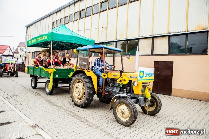Zdjęcie w galerii na portalu naszraciborz.pl: Powiatowe dożynki w tym roku w Pietrowicach Wielkich  wiadomości z regionu
