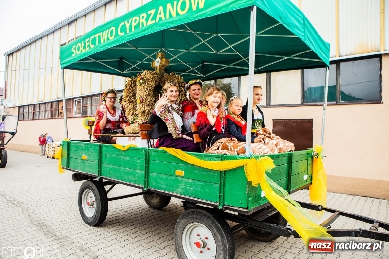 Zdjęcie w galerii na portalu naszraciborz.pl: Powiatowe dożynki w tym roku w Pietrowicach Wielkich  wiadomości z regionu