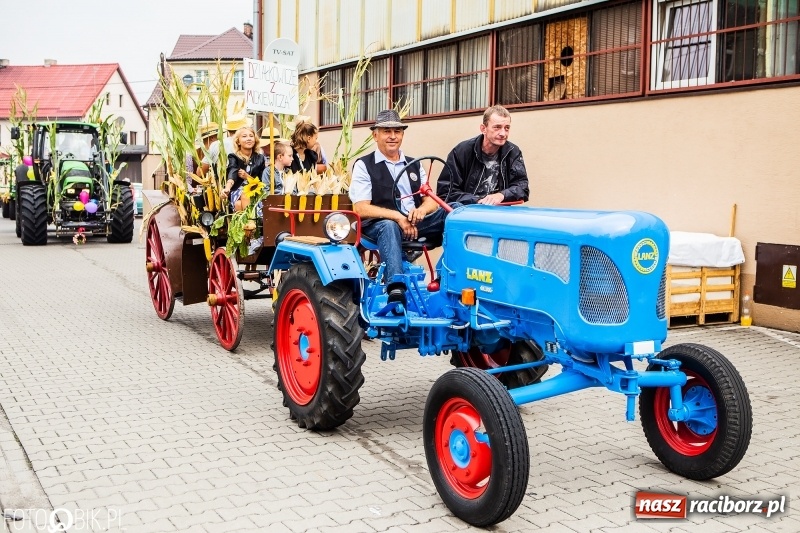 Zdjęcie w galerii na portalu naszraciborz.pl: Powiatowe dożynki w tym roku w Pietrowicach Wielkich  wiadomości z regionu