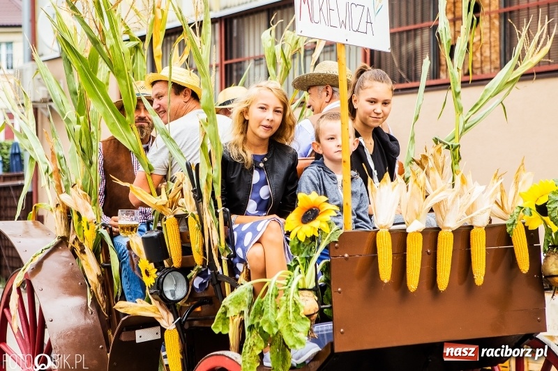 Zdjęcie w galerii na portalu naszraciborz.pl: Powiatowe dożynki w tym roku w Pietrowicach Wielkich  wiadomości z regionu