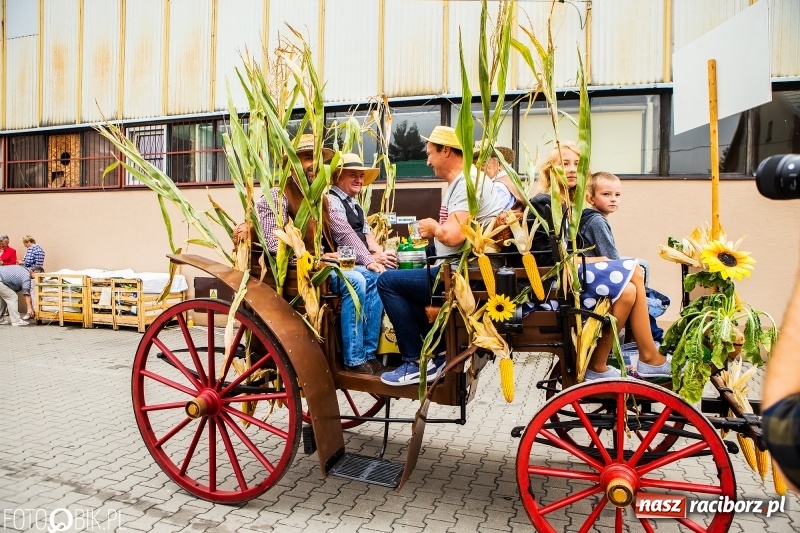 Zdjęcie w galerii na portalu naszraciborz.pl: Powiatowe dożynki w tym roku w Pietrowicach Wielkich  wiadomości z regionu