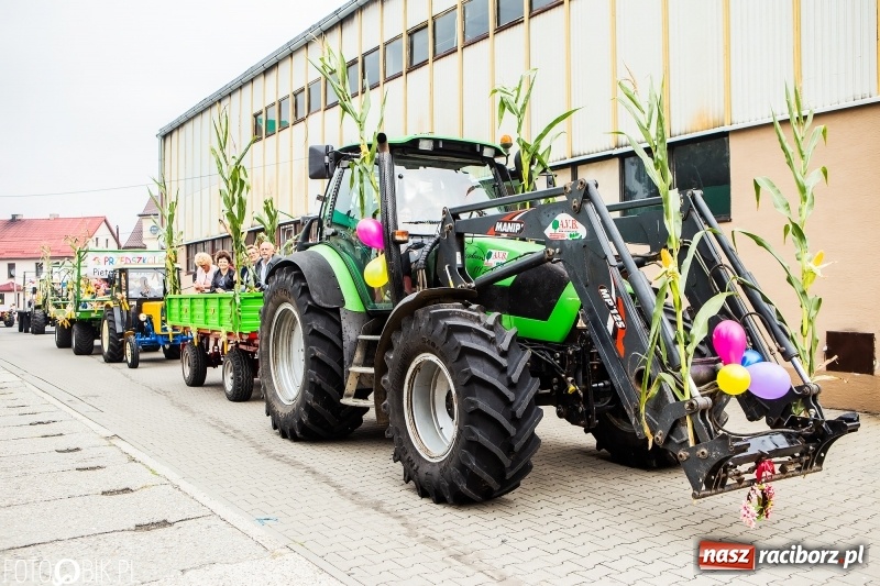 Zdjęcie w galerii na portalu naszraciborz.pl: Powiatowe dożynki w tym roku w Pietrowicach Wielkich  wiadomości z regionu