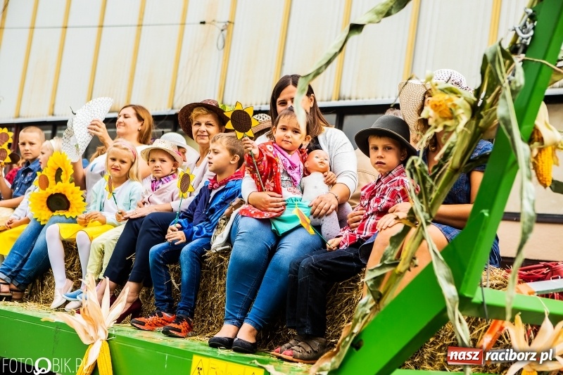 Zdjęcie w galerii na portalu naszraciborz.pl: Powiatowe dożynki w tym roku w Pietrowicach Wielkich  wiadomości z regionu