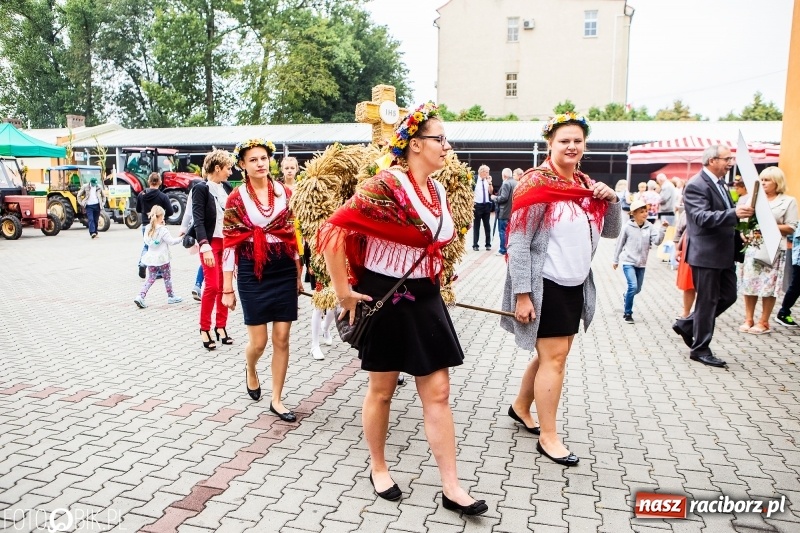 Zdjęcie w galerii na portalu naszraciborz.pl: Powiatowe dożynki w tym roku w Pietrowicach Wielkich  wiadomości z regionu