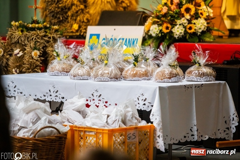 Zdjęcie w galerii na portalu naszraciborz.pl: Powiatowe dożynki w tym roku w Pietrowicach Wielkich  wiadomości z regionu