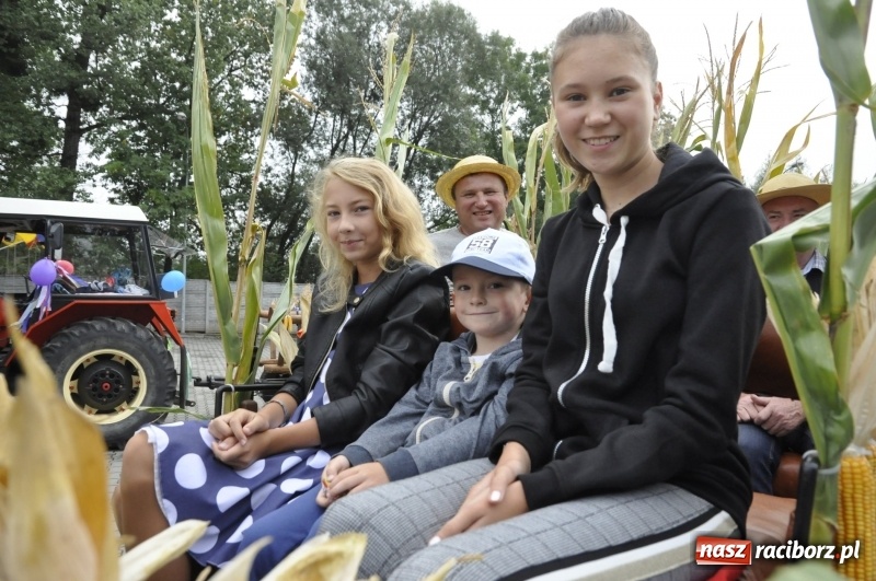 Zdjęcie w galerii na portalu naszraciborz.pl: Powiatowe dożynki w tym roku w Pietrowicach Wielkich  wiadomości z regionu