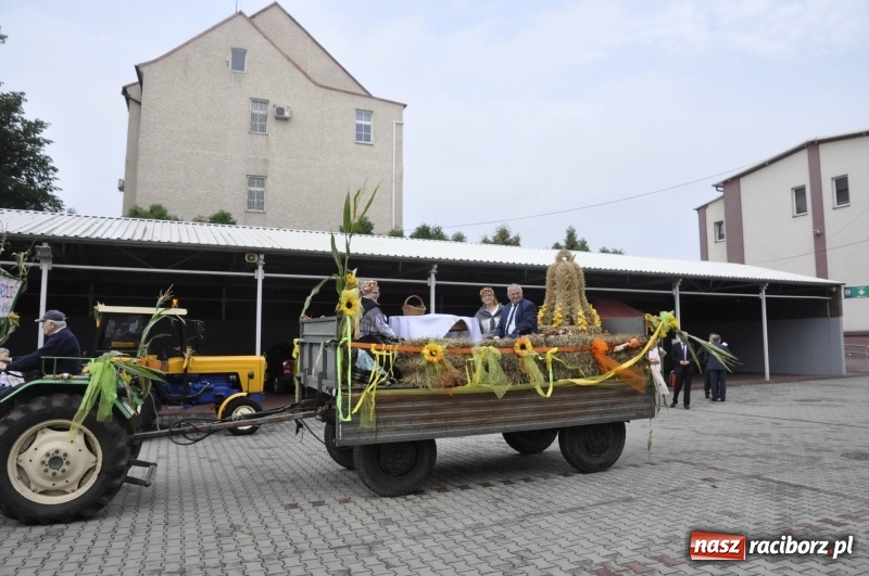Zdjęcie w galerii na portalu naszraciborz.pl: Powiatowe dożynki w tym roku w Pietrowicach Wielkich  wiadomości z regionu