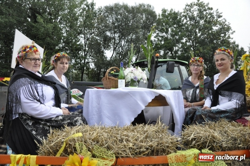 Zdjęcie w galerii na portalu naszraciborz.pl: Powiatowe dożynki w tym roku w Pietrowicach Wielkich  wiadomości z regionu