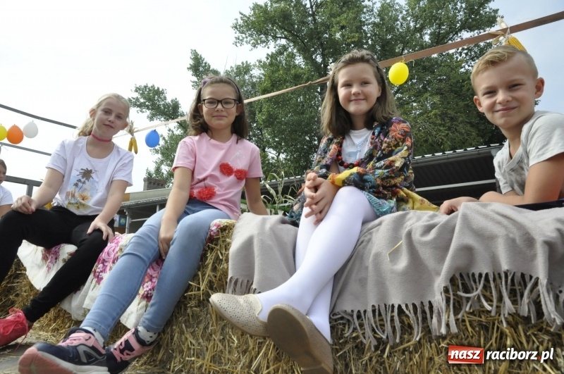 Zdjęcie w galerii na portalu naszraciborz.pl: Powiatowe dożynki w tym roku w Pietrowicach Wielkich  wiadomości z regionu
