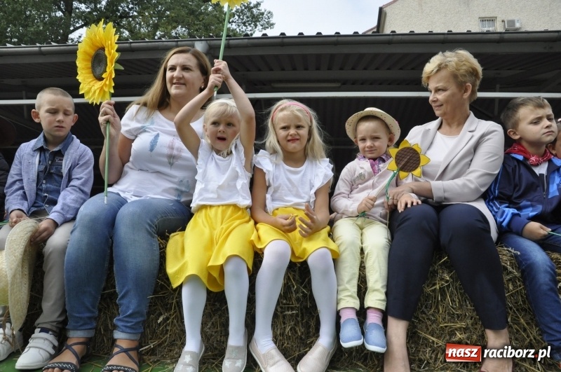 Zdjęcie w galerii na portalu naszraciborz.pl: Powiatowe dożynki w tym roku w Pietrowicach Wielkich  wiadomości z regionu