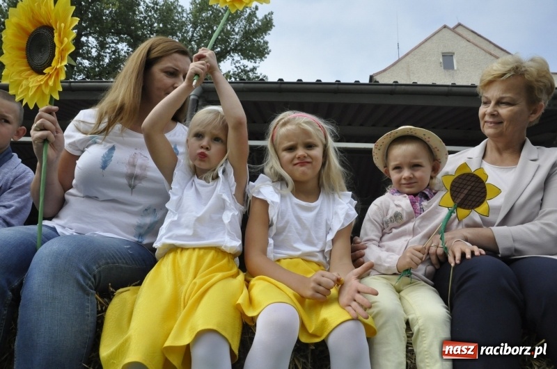 Zdjęcie w galerii na portalu naszraciborz.pl: Powiatowe dożynki w tym roku w Pietrowicach Wielkich  wiadomości z regionu