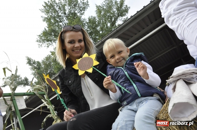 Zdjęcie w galerii na portalu naszraciborz.pl: Powiatowe dożynki w tym roku w Pietrowicach Wielkich  wiadomości z regionu