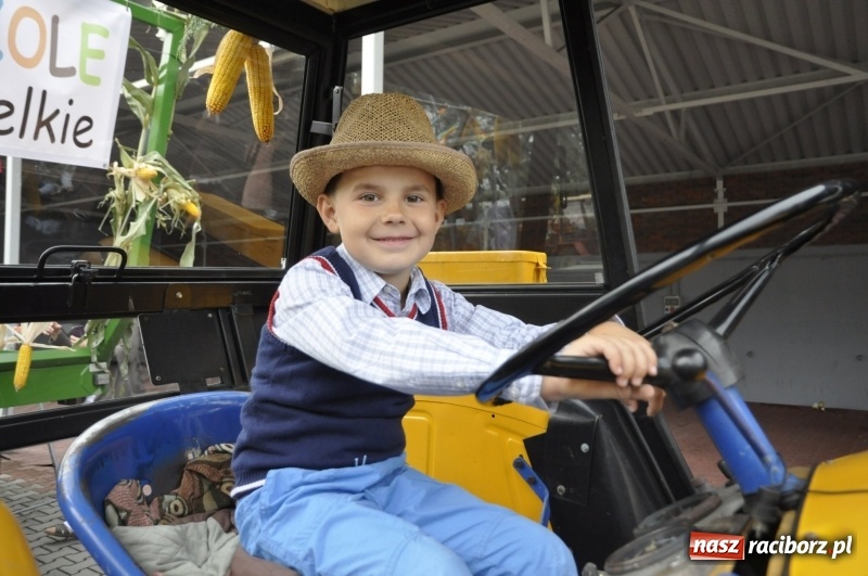 Zdjęcie w galerii na portalu naszraciborz.pl: Powiatowe dożynki w tym roku w Pietrowicach Wielkich  wiadomości z regionu
