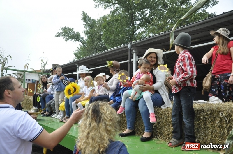 Zdjęcie w galerii na portalu naszraciborz.pl: Powiatowe dożynki w tym roku w Pietrowicach Wielkich  wiadomości z regionu