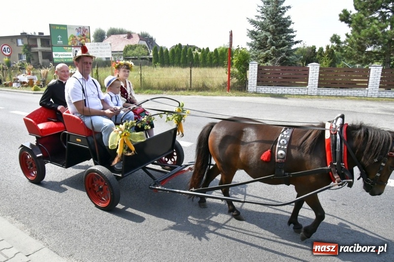 Zdjęcie w galerii na portalu naszraciborz.pl: Kużnia Raciborska - dożynki rolników i działkowców FOTO i VIDEO wiadomości z regionu