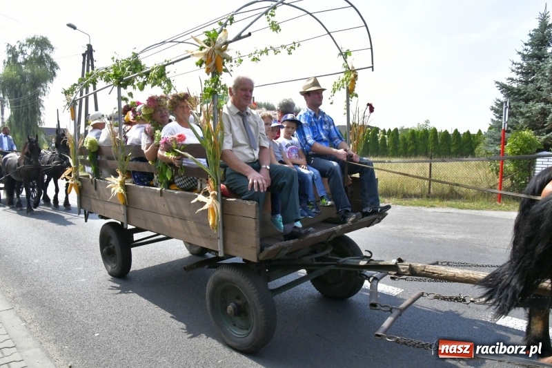 Zdjęcie w galerii na portalu naszraciborz.pl: Kużnia Raciborska - dożynki rolników i działkowców FOTO i VIDEO wiadomości z regionu