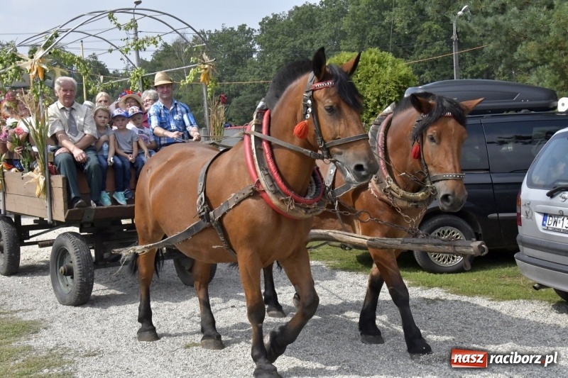 Zdjęcie w galerii na portalu naszraciborz.pl: Kużnia Raciborska - dożynki rolników i działkowców FOTO i VIDEO wiadomości z regionu