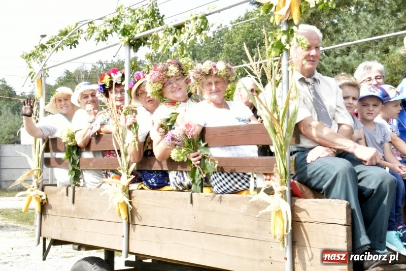 Zdjęcie w galerii na portalu naszraciborz.pl: Kużnia Raciborska - dożynki rolników i działkowców FOTO i VIDEO wiadomości z regionu