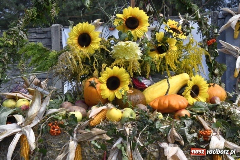 Zdjęcie w galerii na portalu naszraciborz.pl: Kużnia Raciborska - dożynki rolników i działkowców FOTO i VIDEO wiadomości z regionu