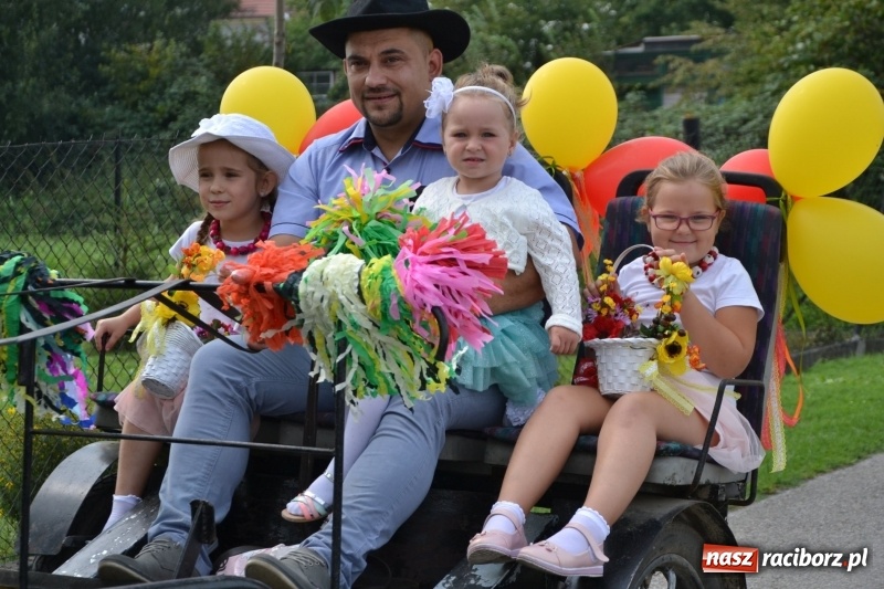 Zdjęcie w galerii na portalu naszraciborz.pl: Kolorowo i cyrkowo na dożynkach w Rudyszwałdzie  wiadomości z regionu