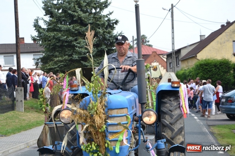 Zdjęcie w galerii na portalu naszraciborz.pl: Kolorowo i cyrkowo na dożynkach w Rudyszwałdzie  wiadomości z regionu