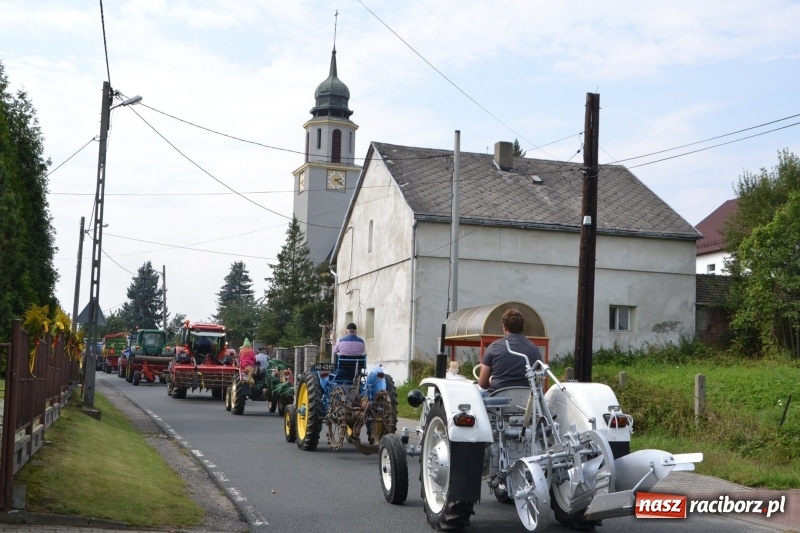 Zdjęcie w galerii na portalu naszraciborz.pl: Kolorowo i cyrkowo na dożynkach w Rudyszwałdzie  wiadomości z regionu
