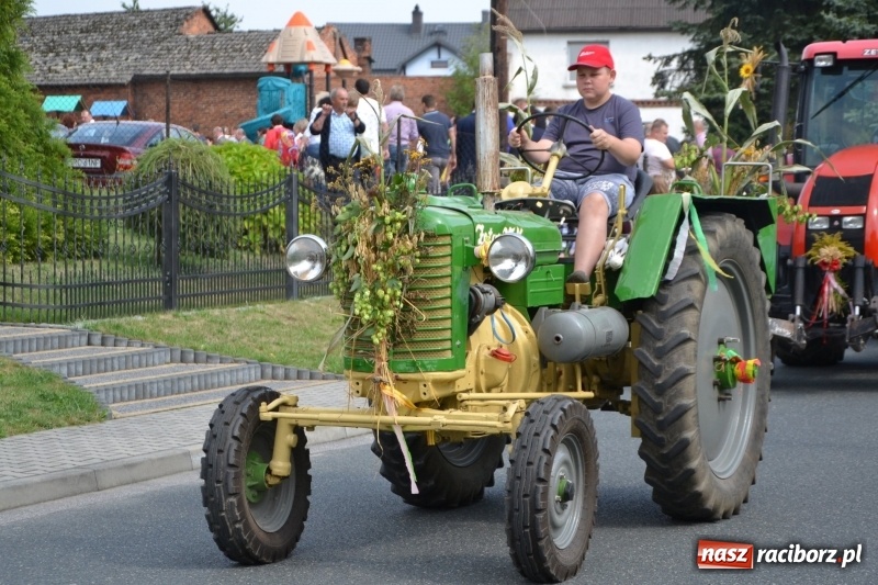 Zdjęcie w galerii na portalu naszraciborz.pl: Kolorowo i cyrkowo na dożynkach w Rudyszwałdzie  wiadomości z regionu