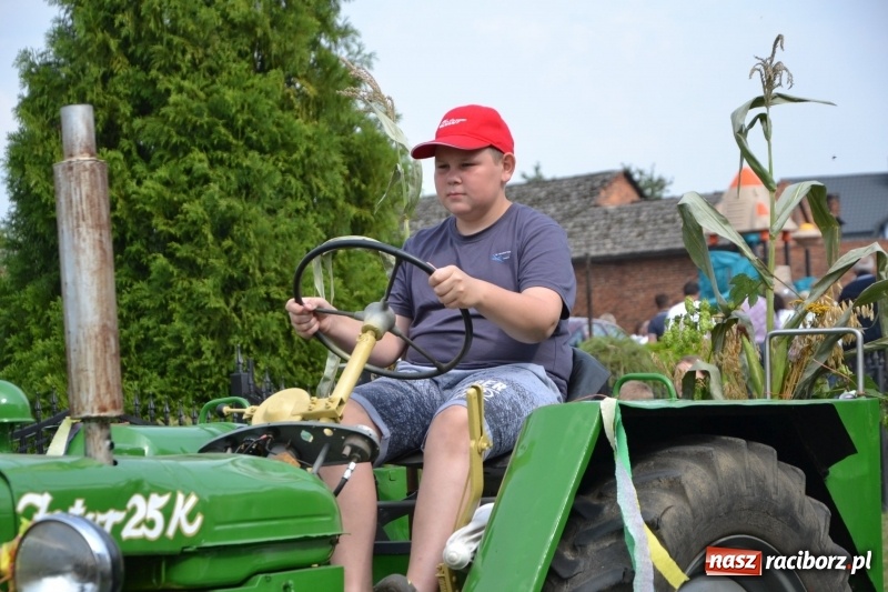 Zdjęcie w galerii na portalu naszraciborz.pl: Kolorowo i cyrkowo na dożynkach w Rudyszwałdzie  wiadomości z regionu