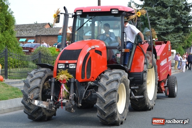 Zdjęcie w galerii na portalu naszraciborz.pl: Kolorowo i cyrkowo na dożynkach w Rudyszwałdzie  wiadomości z regionu