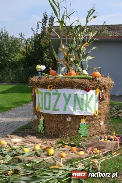 Zdjęcie w galerii na portalu naszraciborz.pl: Kolorowo i cyrkowo na dożynkach w Rudyszwałdzie  wiadomości z regionu